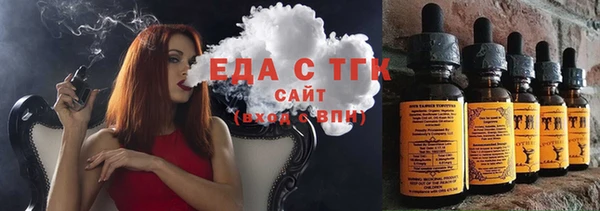 индика Арсеньев