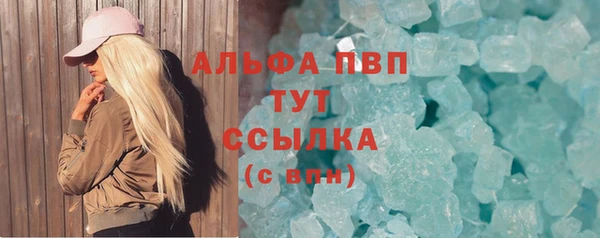 индика Арсеньев