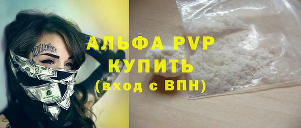 индика Арсеньев