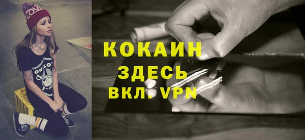индика Арсеньев
