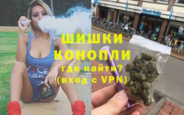 индика Арсеньев