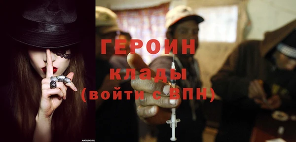 индика Арсеньев