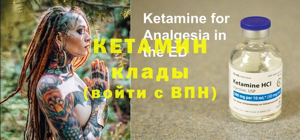 индика Арсеньев