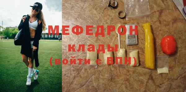 индика Арсеньев