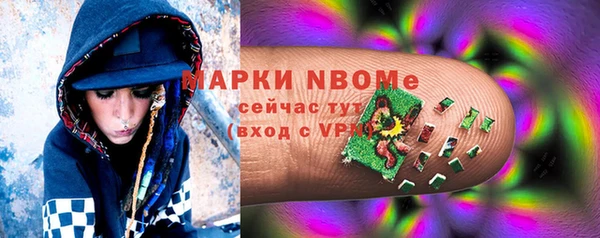 индика Арсеньев
