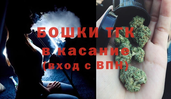 индика Арсеньев