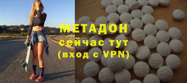 индика Арсеньев